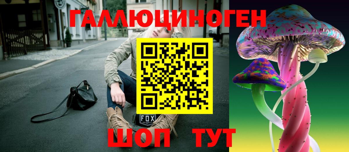 Галлюциногенные грибы Psilocybine cubensis Лениногорск